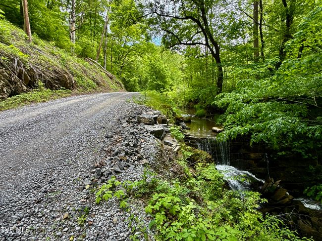 47 Tbd Enoch Rd, Home with 0 bedrooms, 0 bathrooms and null parking in Eidson TN | Image 26