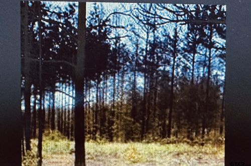 TBD County Road 4122, Overton, TX, 75684 | Card Image