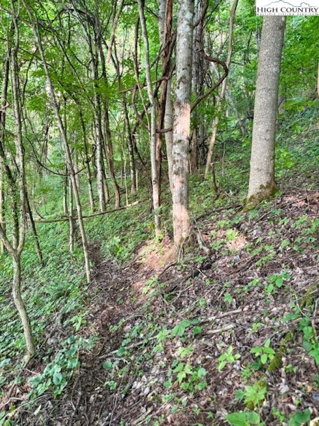 1 Oak Trail, Home with 0 bedrooms, 0 bathrooms and null parking in Creston NC | Image 8