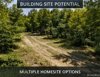 Land in Clanton 2