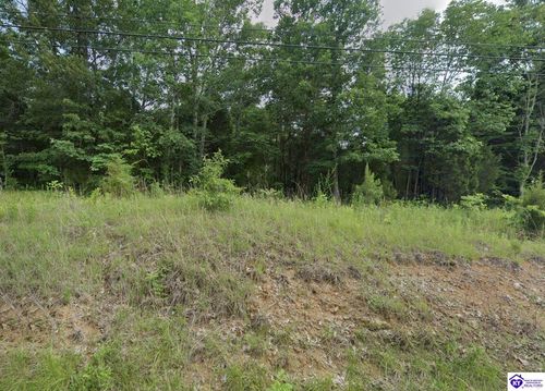 0 Blue Bird Rd, Falls Of Rough, KY, 40119 | Card Image
