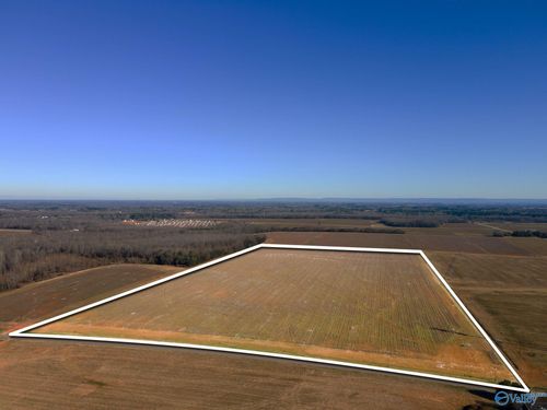 73.80 acres Pulaski Pike, Toney, AL, 35773 | Card Image