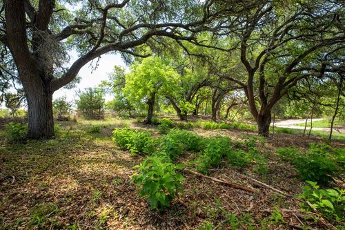 12-12 B A J Ln, Fredericksburg, TX, 78624 | Card Image