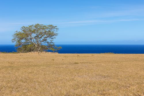 56-2871 Puakea Bay Dr, HAWI, HI, 96719 | Card Image