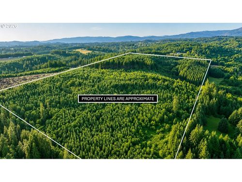 0 Finalburg Rd, LaCenter, WA, 98629 | Card Image