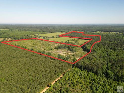 TBD County Road 2729, Naples, TX, 75568 | Card Image