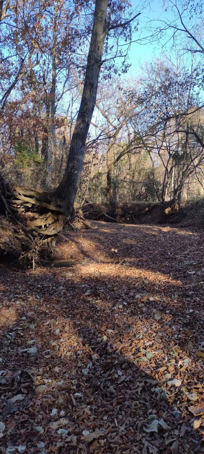 0000 Highway 56, Home with 0 bedrooms, 0 bathrooms and null parking in Russellville AL | Image 28