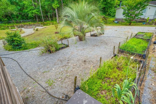 Garden | Image 28