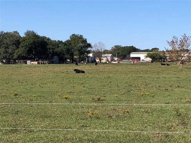 0 Rexville Rd, Home with 0 bedrooms, 0 bathrooms and null parking in Sealy TX | Image 7