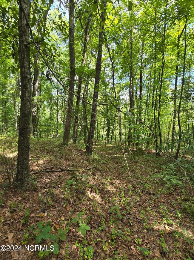 0 Mcnair Rd, Home with 0 bedrooms, 0 bathrooms and null parking in Plymouth NC | Image 14