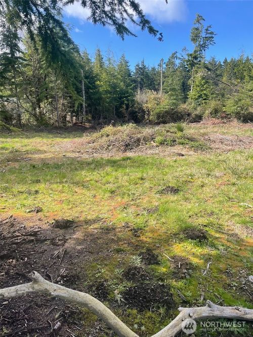 20100 Crane Pl, Ocean Park, WA, 98640-3106 | Card Image