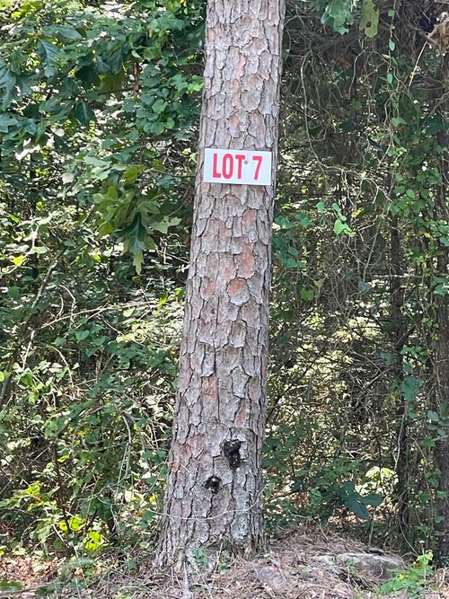 Lot 7 Pleasant Ridge Rd, Greers Ferry, AR, 72067-8938 | Card Image