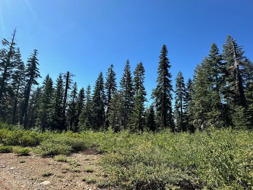 19231 Marsh Mill Rd, Nevada City, CA, 95959 | Card Image