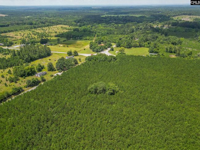 00 Huggins Rd, Home with 0 bedrooms, 0 bathrooms and null parking in Rembert SC | Image 4