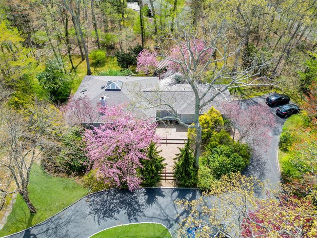 Bird's eye view | Image 40