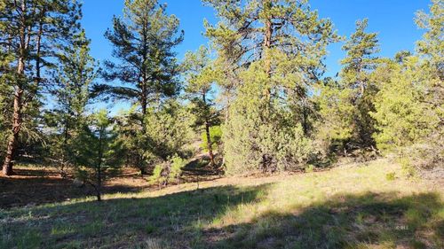 110 Dead Log Ln, Texas Creek, CO, 81223 | Card Image