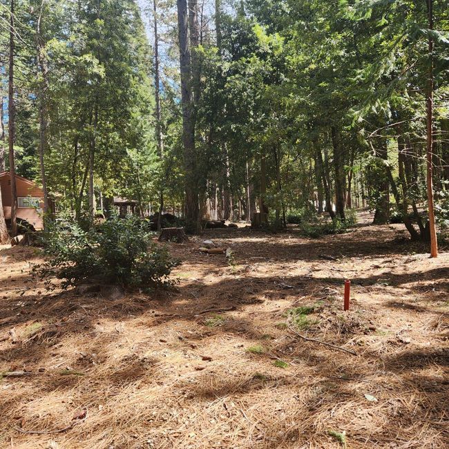 11254 Winding Way, Home with 0 bedrooms, 0 bathrooms and null parking in Clipper Mills CA | Image 14