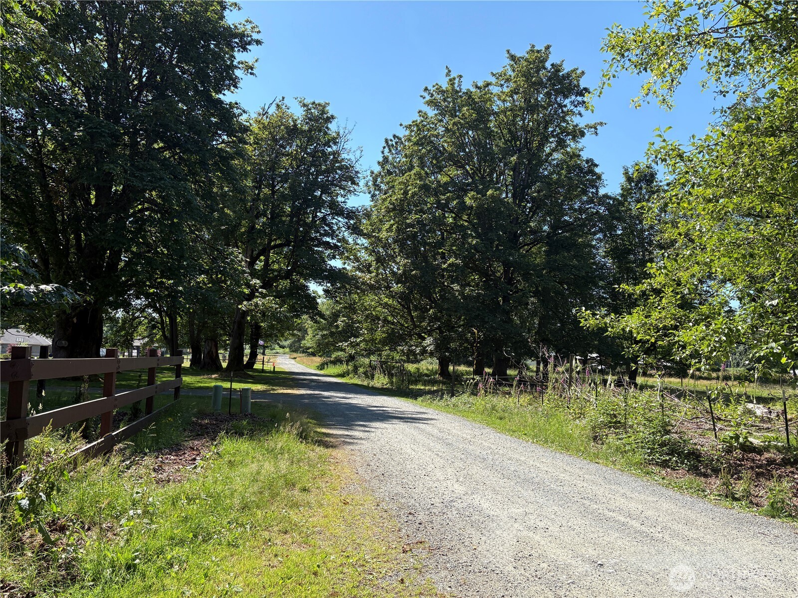 Residential in Ravensdale 4