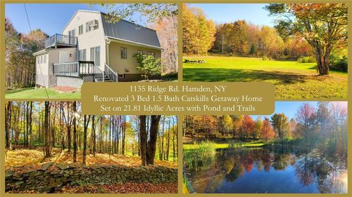 1135 Ridge Rd, Hamden, NY, 13782-1627 | Card Image