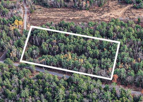 1036 Hopkins Rd, Gravenhurst, ON, P1P1R3 | Card Image