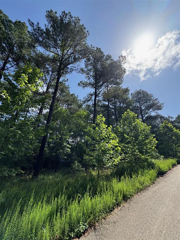 Land in Broken Bow 4