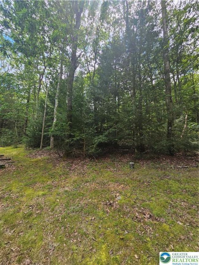 178 Sparrow Ln, House other with 3 bedrooms, 2 bathrooms and null parking in Jim Thorpe PA | Image 16