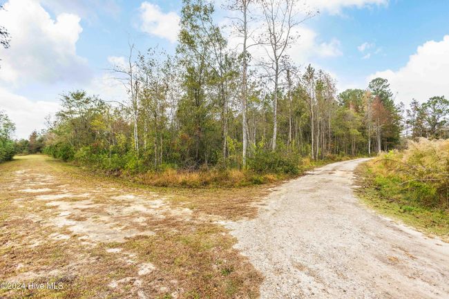 Near 169 Lizzies Drive, Home with 0 bedrooms, 0 bathrooms and null parking in Bolton NC | Image 8