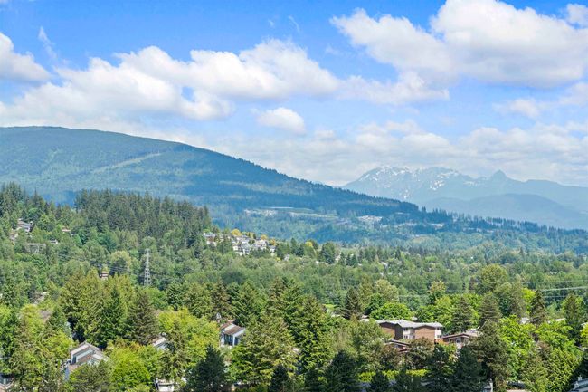 View of mountain backdrop with a heavily wooded area | Image 21