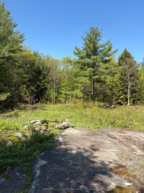 175 N Sandy Plains Rd, Seguin, ON, P2A2W8 | Card Image