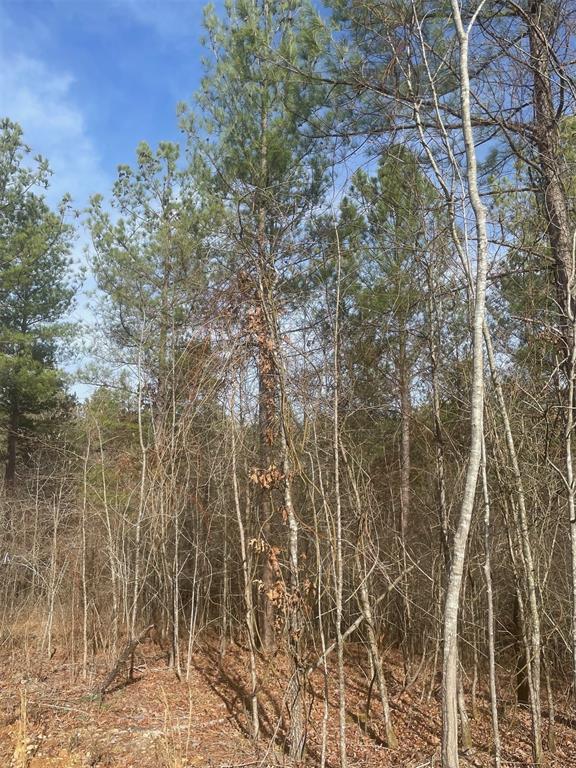 Land in Broken Bow 3