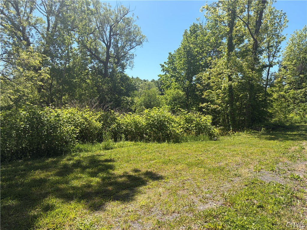 Land in Onondaga 2