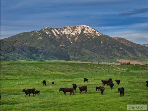 536 Ranger Station Rd, Swan Valley, ID, 83449 | Card Image