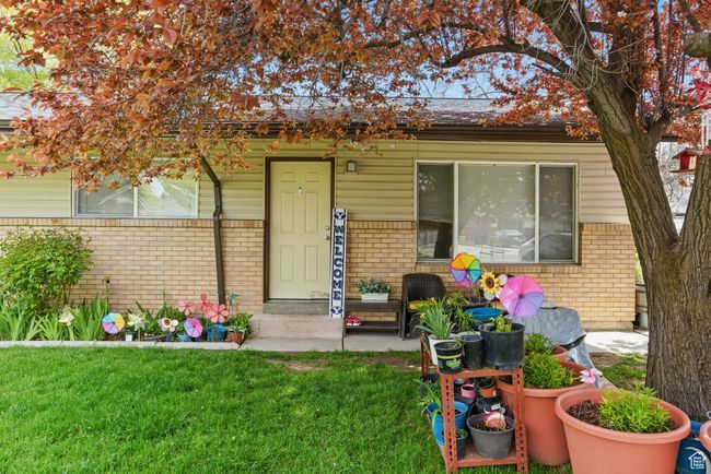 Doorway to property with brick siding and a yard | Image 17