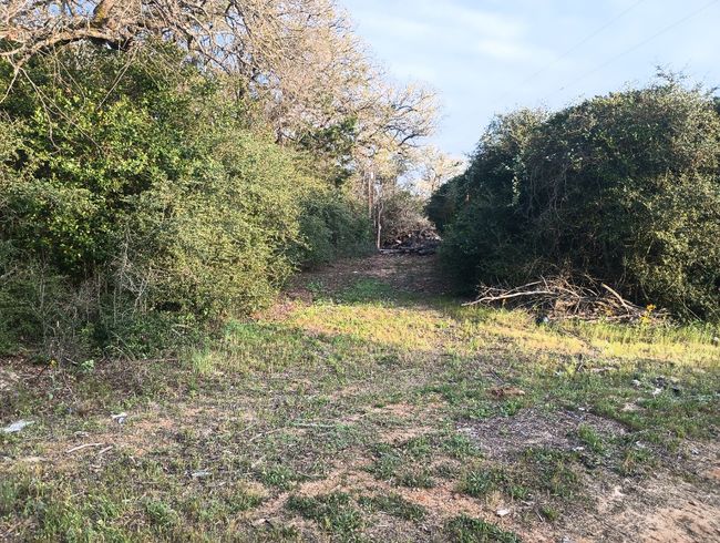 152 Palamino Ct, House other with 2 bedrooms, 2 bathrooms and 5 parking in Paige TX | Image 34