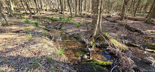 85 Perry Pond Rd, Narrowsburg, NY, 12764-5216 | Card Image