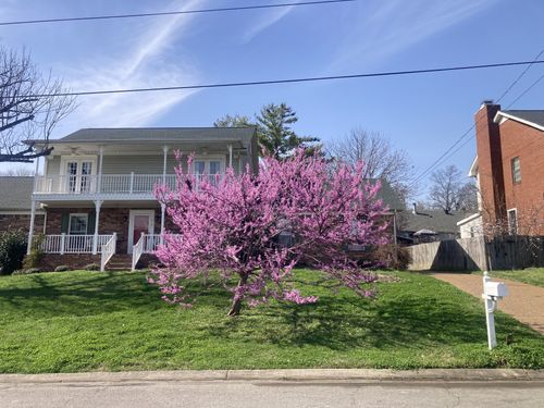 3920 Hillshire Dr, Antioch, TN, 37013-1085 | Card Image