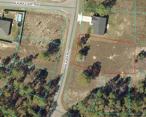 LOT 5 Se Malauka Run Pl, OCKLAWAHA, FL, 32179 | Card Image