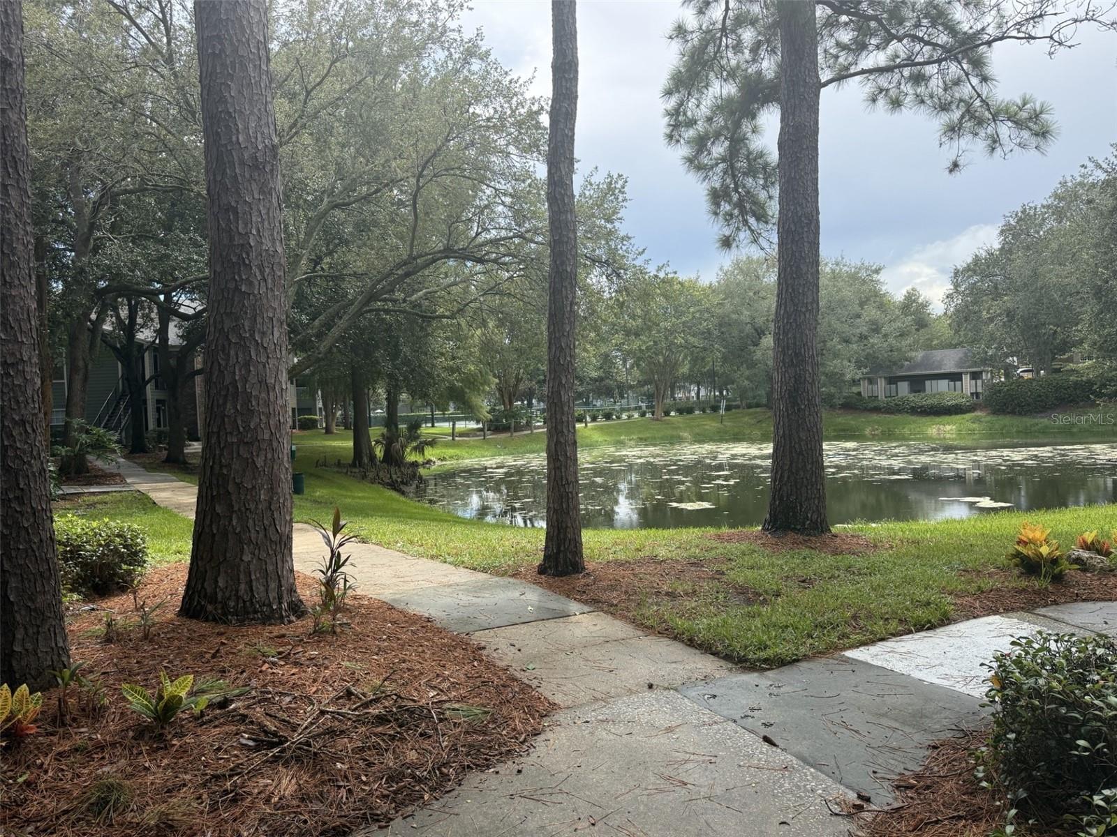 Residential in ORLANDO 3