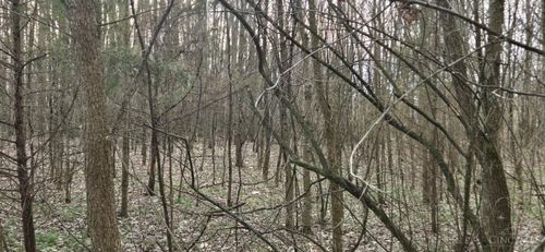 506 Cherry St, Blanchester, OH, 45107-1221 | Card Image