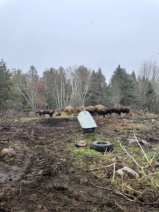 10138 Highway 64 N/A S, Home with 0 bedrooms, 0 bathrooms and null parking in West Nipissing ON | Image 13