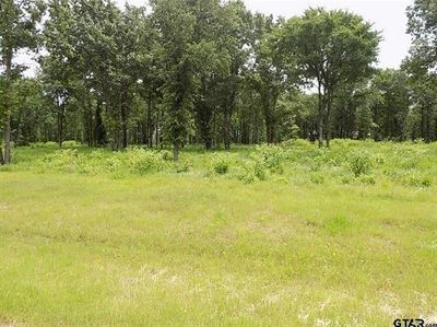 View of lot. Mature trees | Image 3