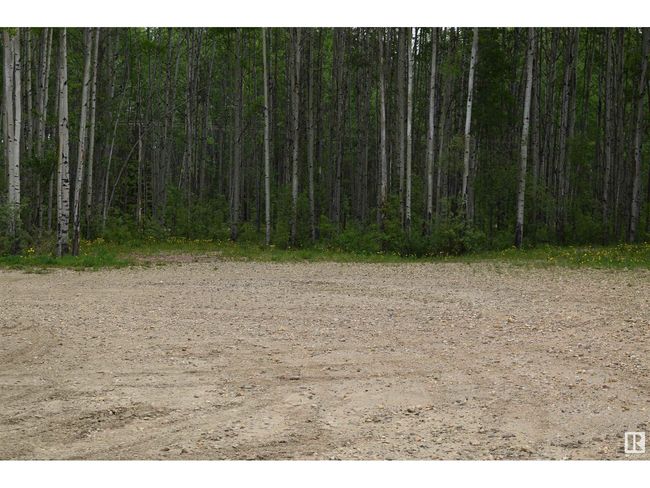 455 Industrial Dr N, House other with 9 bedrooms, 10 bathrooms and 12 parking in Red Earth Creek AB | Image 25