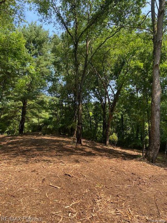 6 Sleaford Parcel 6   2.1 Acres Road, Home with 0 bedrooms, 0 bathrooms and null parking in Howell Township MI | Image 12