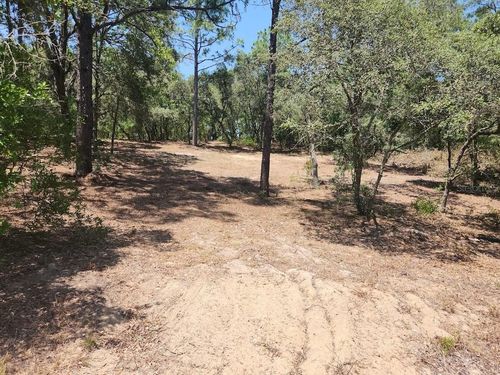 Lot 18 Sw Pine Bluffs Rd, Dunnellon, FL, 34431 | Card Image