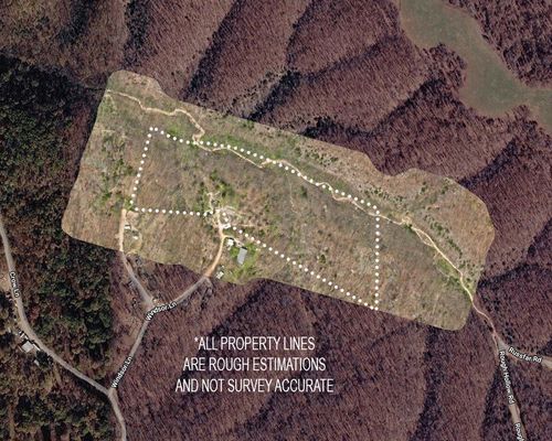 256 Windsor Ln, Pineville, MO, 64856-7046 | Card Image