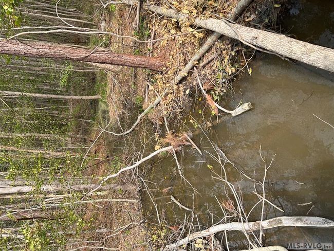 32.49 Ac Chalk Level Rd, Home with 0 bedrooms, 0 bathrooms and null parking in Alberta VA | Image 47