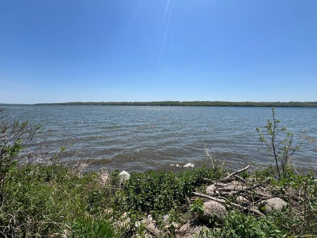 Shore View - Towards Lake | Image 8