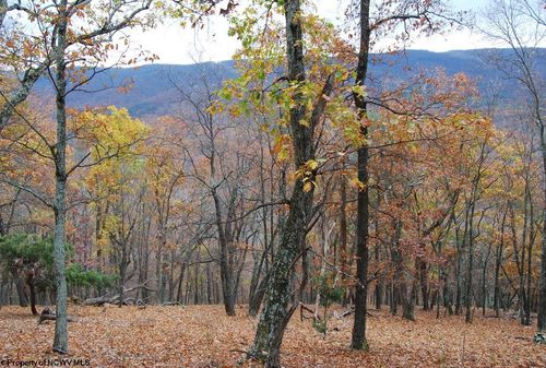 TBD Lockinger Ridge Road, MOOREFIELD, WV, 26836 | Card Image