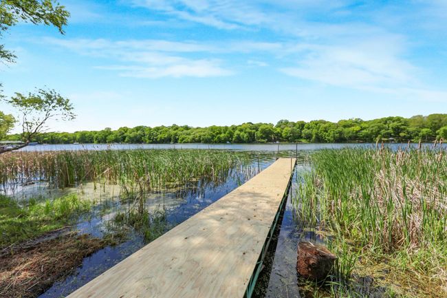 Dock - newly surfaced.jpg | Image 35