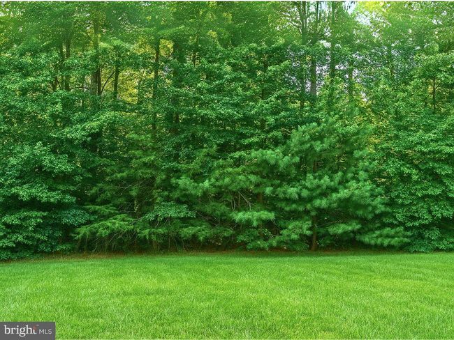 14835 King Charles Dr, Home with 0 bedrooms, 0 bathrooms and null parking in SWAN POINT MD | Image 13